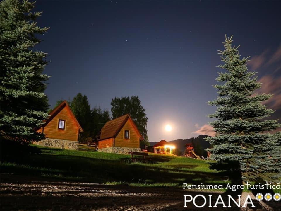 Pensiunea Agroturistica Poiana Poiana Negrii Buitenkant foto