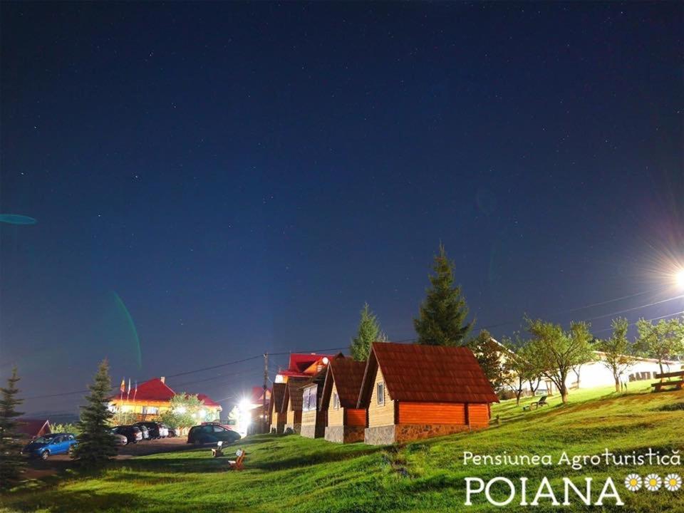 Pensiunea Agroturistica Poiana Poiana Negrii Buitenkant foto