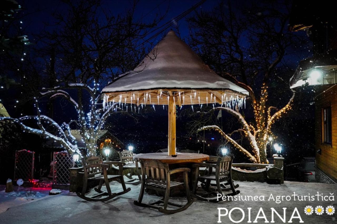 Pensiunea Agroturistica Poiana Poiana Negrii Buitenkant foto