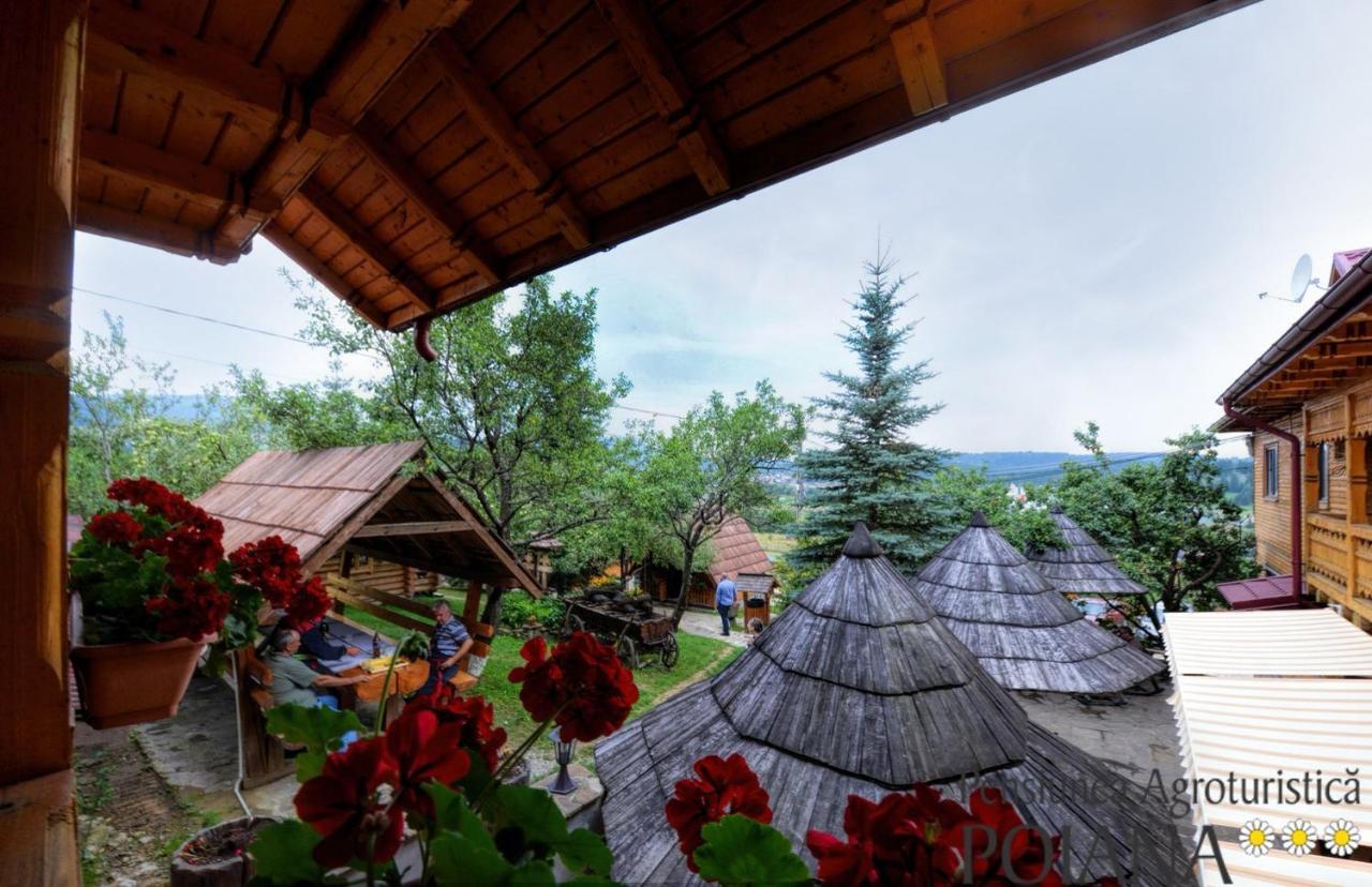 Pensiunea Agroturistica Poiana Poiana Negrii Buitenkant foto