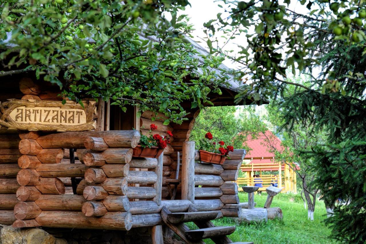 Pensiunea Agroturistica Poiana Poiana Negrii Buitenkant foto