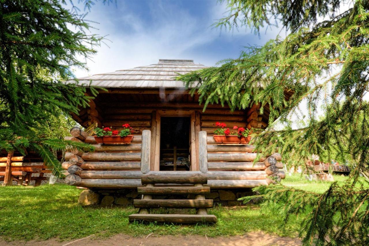 Pensiunea Agroturistica Poiana Poiana Negrii Buitenkant foto