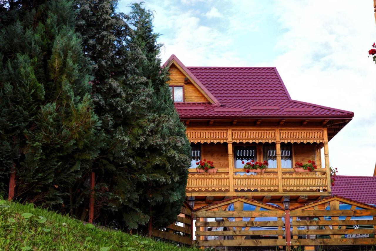 Pensiunea Agroturistica Poiana Poiana Negrii Buitenkant foto