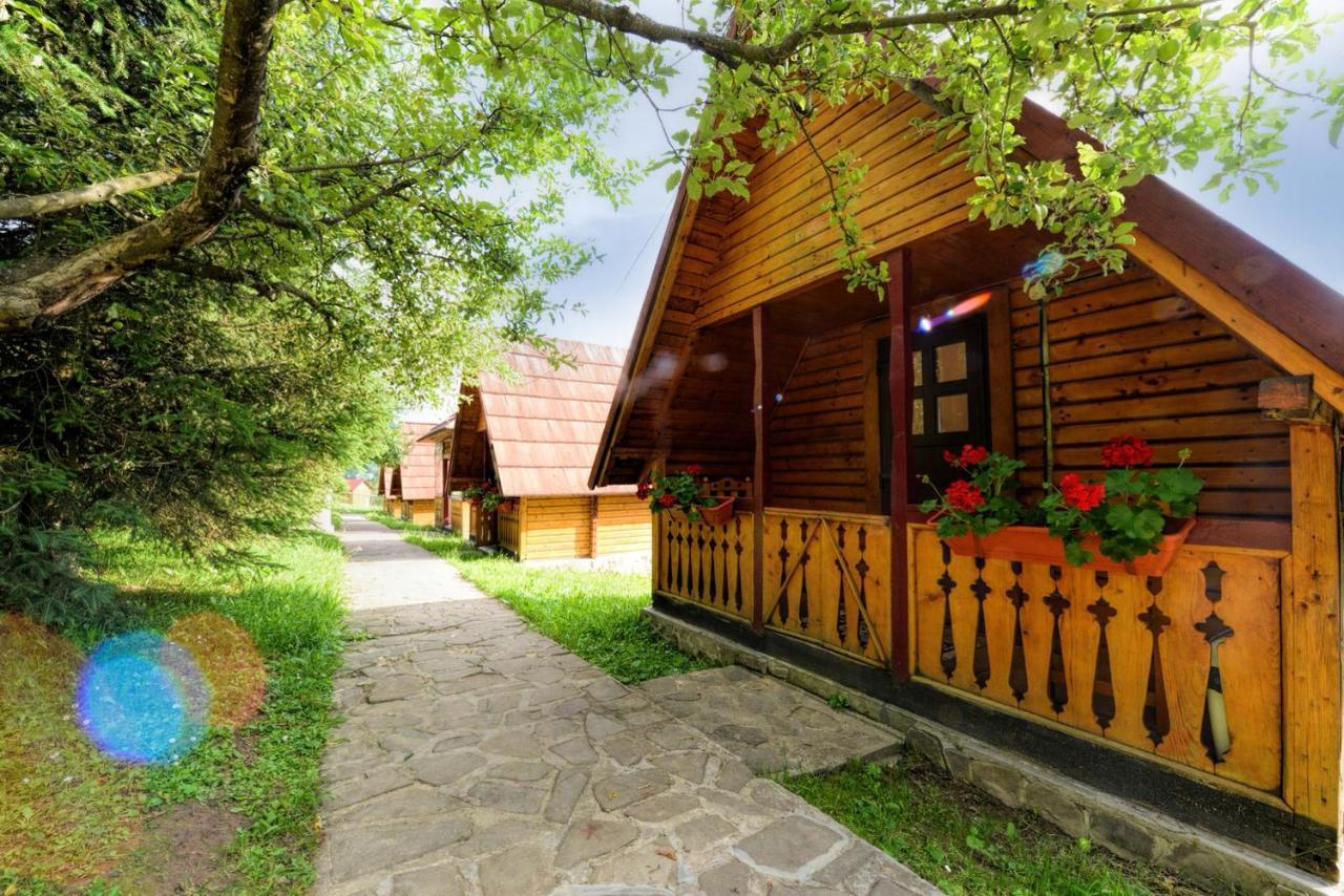 Pensiunea Agroturistica Poiana Poiana Negrii Buitenkant foto