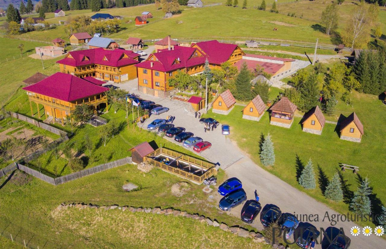 Pensiunea Agroturistica Poiana Poiana Negrii Buitenkant foto